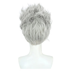 One Piece Monkey D. Luffy Argent Forme Finale Perruque Accessoires