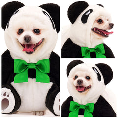 Animal Panda pour Petit Chien Costume d'Halloween