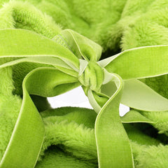 Animal Dinosaure pour Petit Chien Costume d'Halloween