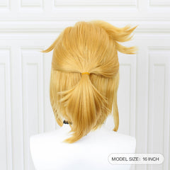The Legend of Zelda: Breath of the Wild Link Cosplay Perruque