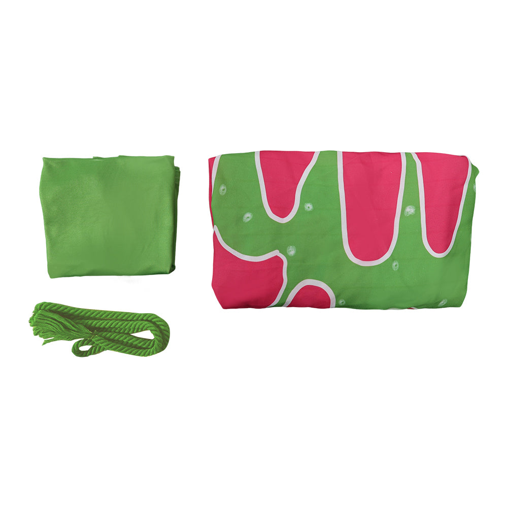 ABBA Femme Agnetha Faltskong 1970s Tenue Rose-vert Costume Vintage