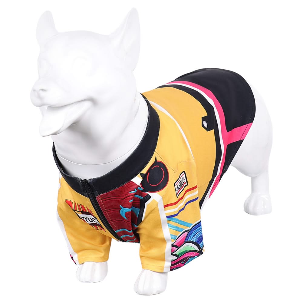 Animal Kpop Demon Hunters(2025) Huntrix Rumi Costume pour Chien