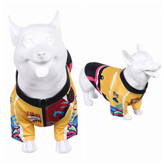 Animal Kpop Demon Hunters(2025) Huntrix Rumi Costume pour Chien