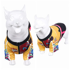 Animal Kpop Demon Hunters(2025) Huntrix Rumi Costume pour Chien