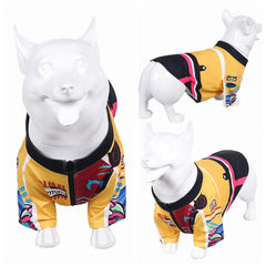 Animal Kpop Demon Hunters(2025) Huntrix Rumi Costume pour Chien