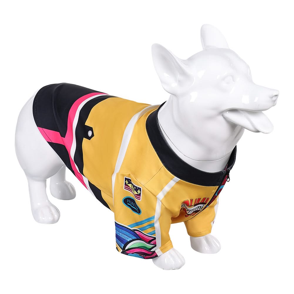 Animal Kpop Demon Hunters(2025) Huntrix Rumi Costume pour Chien