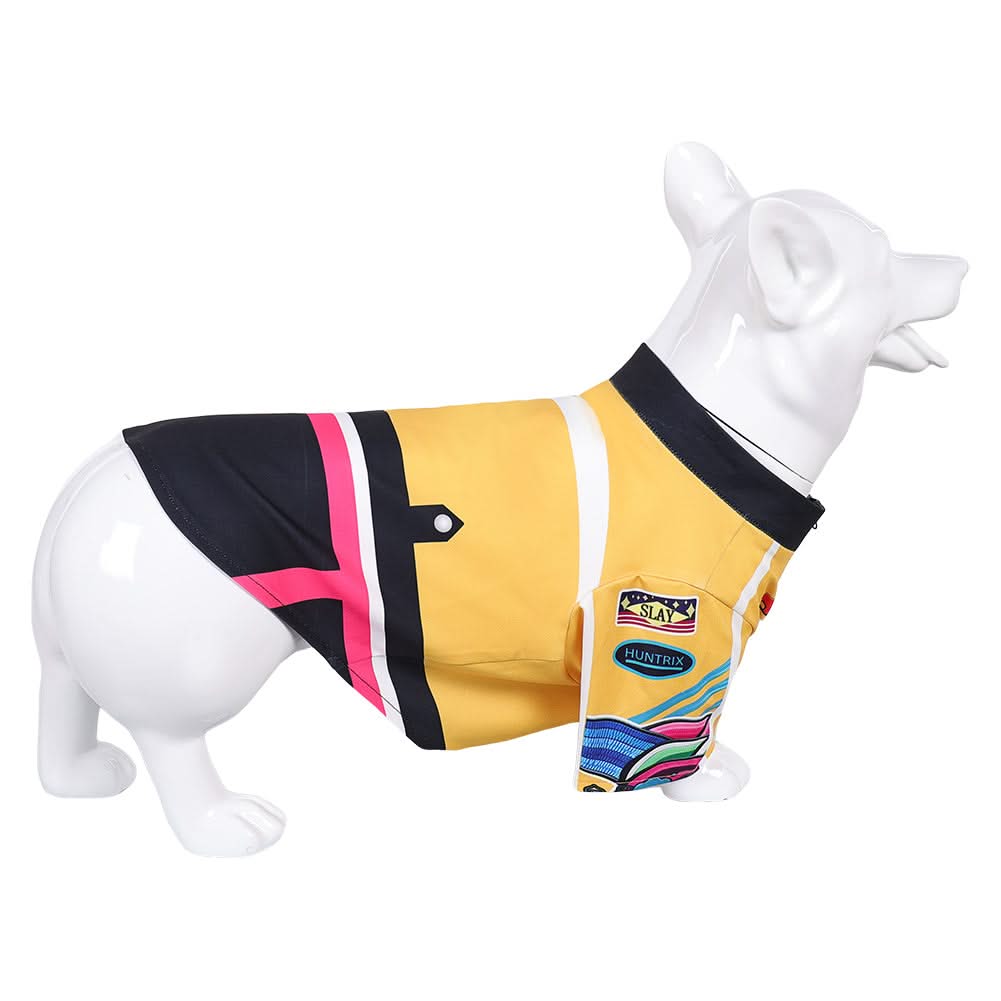 Animal Kpop Demon Hunters(2025) Huntrix Rumi Costume pour Chien