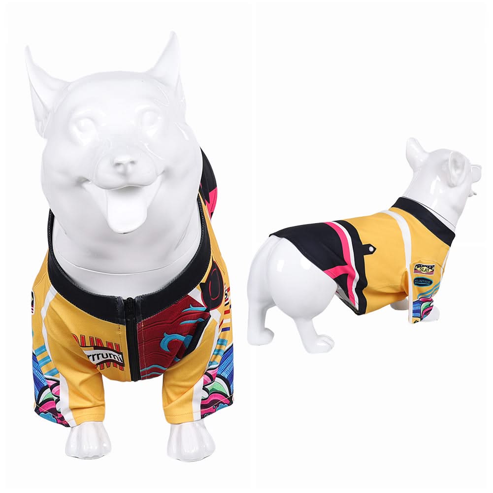 Animal Kpop Demon Hunters(2025) Huntrix Rumi Costume pour Chien