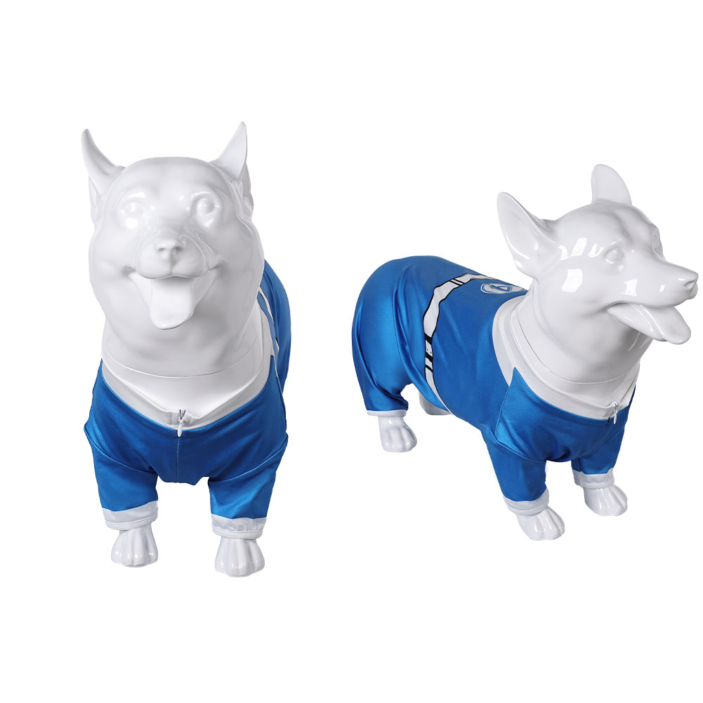 Animal The Fantastic Four: First Steps(2025) Invisible Woman Costume Bleu pour Chien