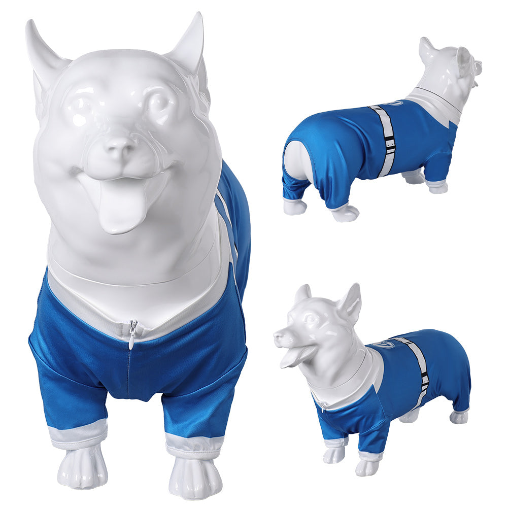 Animal The Fantastic Four: First Steps(2025) Invisible Woman Costume Bleu pour Chien