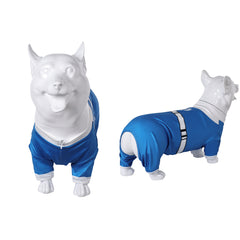 Animal The Fantastic Four: First Steps(2025) Invisible Woman Costume Bleu pour Chien