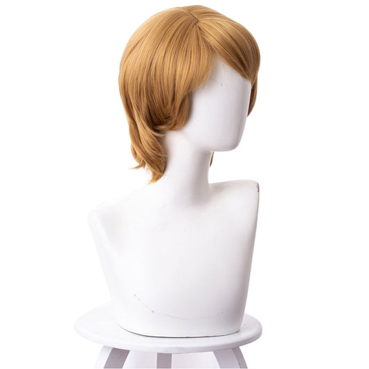 La Reine des Neiges Kristoff Cosplay Perruque
