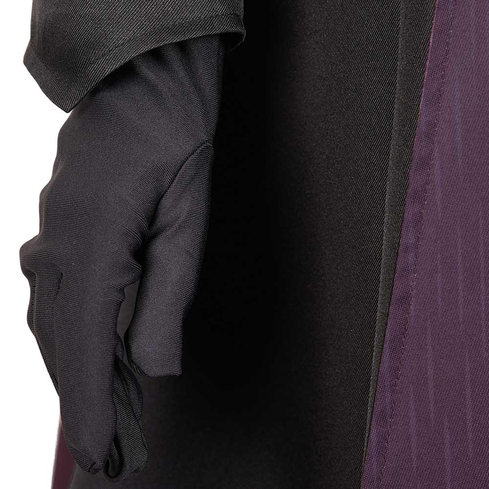 House of the Dragon Rhaenyra Targaryen Tenue Cosplay Costume