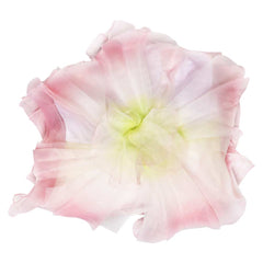 Wicked(2024) Glinda Robe en Forme de Fleurs Rose Cosplay Costume