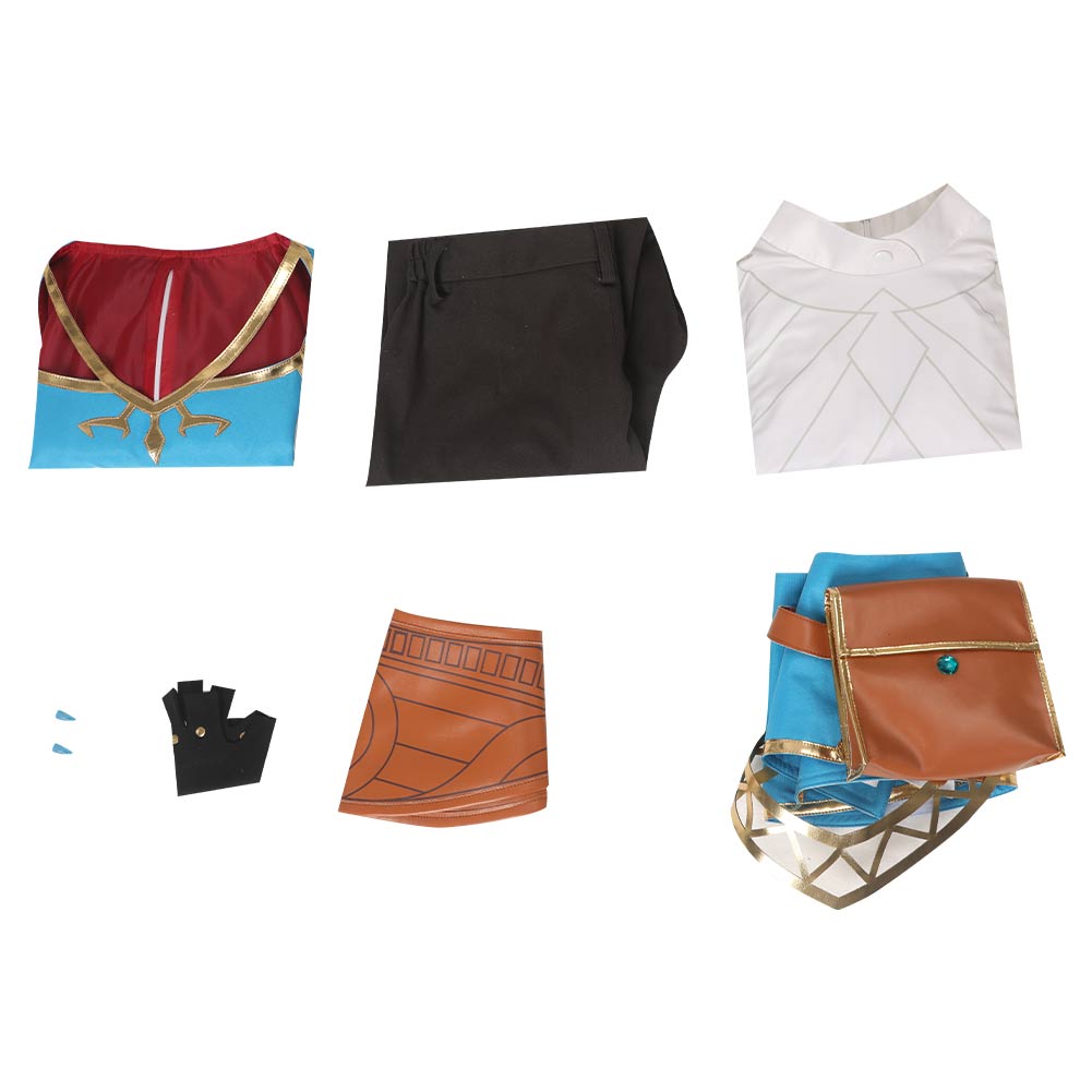 Adulte The Legend of Zelda: Breath of the Wild Zelda Cosplay Costume