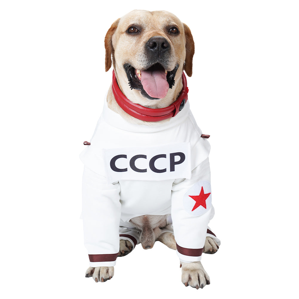 Guardians of the Galaxy Vol. 3 Chien Combinaisons Spatiales Costume