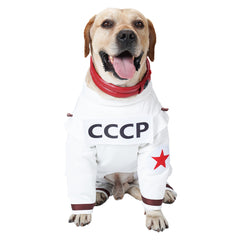 Guardians of the Galaxy Vol. 3 Chien Combinaisons Spatiales Costume