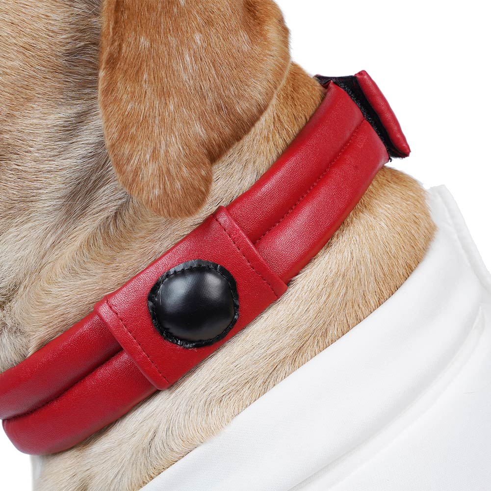 Guardians of the Galaxy Vol. 3 Chien Combinaisons Spatiales Costume