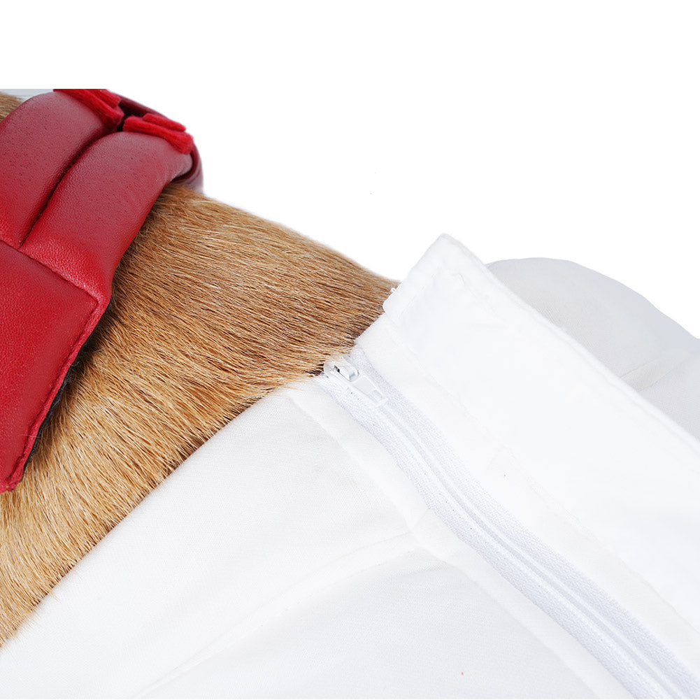 Guardians of the Galaxy Vol. 3 Chien Combinaisons Spatiales Costume