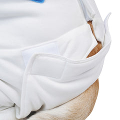 Guardians of the Galaxy Vol. 3 Chien Combinaisons Spatiales Costume