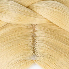 The Legend of Zelda Princesse Zelda Cosplay Perruque Longue