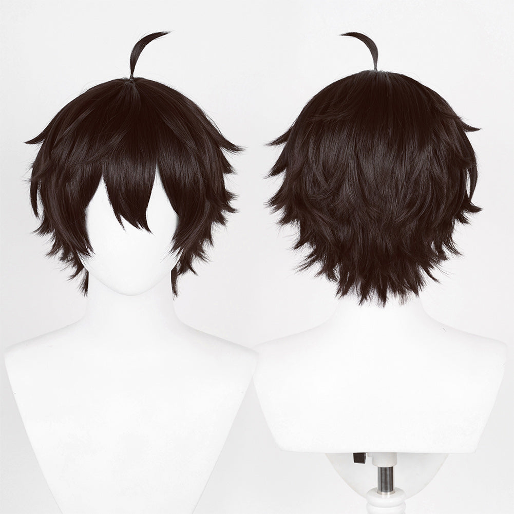 Honkai: Star Rail Dan Heng Perruque Accessoire Carnaval