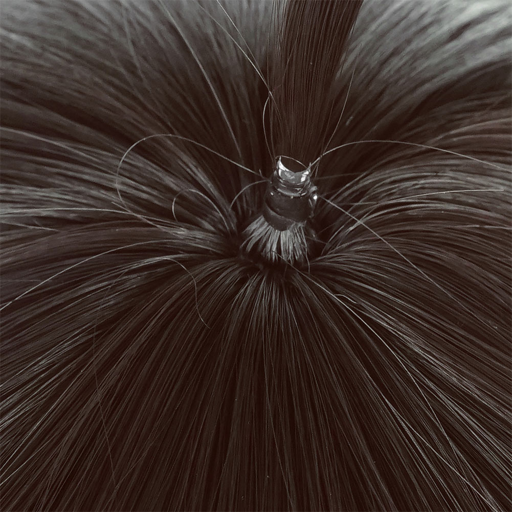 Honkai: Star Rail Dan Heng Perruque Accessoire Carnaval