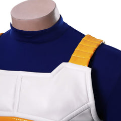 Dragon Ball Z DBZ Vegeta IV Cosplay Costume
