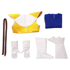 Dragon Ball Z DBZ Vegeta Cosplay Costume