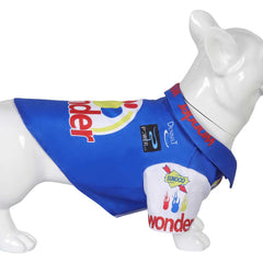 Film Ricky Bobby: Sports Century Costume pour Animal Chien