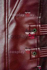 Guardians of the Galaxy 2 Peter Jason Quill Starlord Cosplay Costume