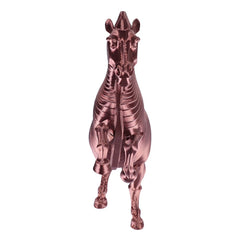 Cosplay Accessoires Odysseus/Agamemnon The Odyssey(2026) Film Accessoires