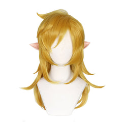 The Legend of Zelda: Tears of the Kingdom Link Vert Ensemble Cosplay Costume