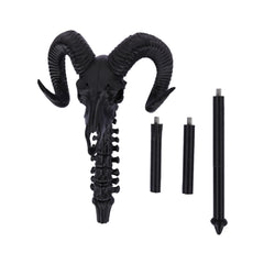 Cosplay Accessoire He-Man/Teela/Skeleton King Les Maîtres de l'Univers(2026) Film Accessoires