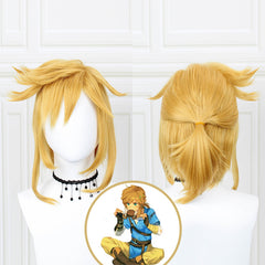 The Legend of Zelda: Tears of the Kingdom Link Cosplay Costume