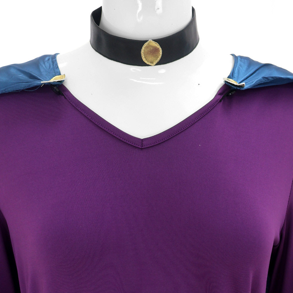Catwoman Tenue Violette Cosplay Costume