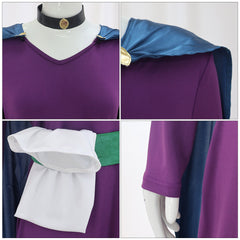 Catwoman Tenue Violette Cosplay Costume