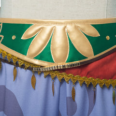 La Legende de Zelda : Le Souffle de la Nature Cosplay Costume