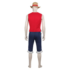 TV One Piece Luffy Homme Cosplay Costume